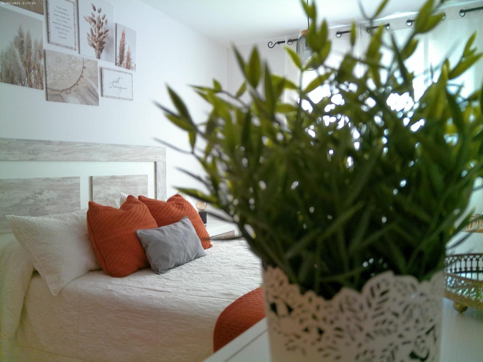 Deltafamily ¡ Barbacoa,Piscina, Wifi Chromecast !! Apartment Els Muntells Exterior photo